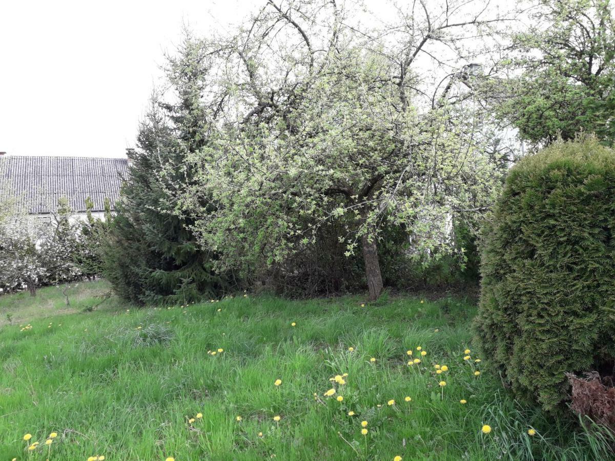 Vakantie Boerderij De Boerenzwaluw Karl Экстерьер фото